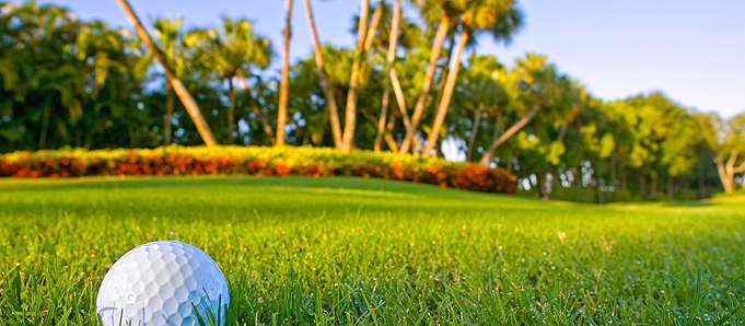 A golf ball on an Orlando golf course