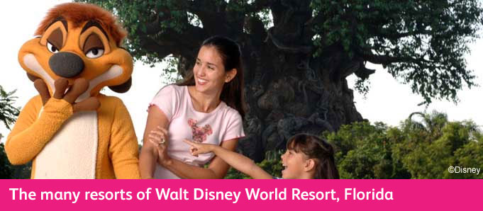 Walt Disney World Resort Guide Lion King