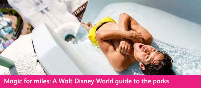 Walt Disney World Park Guide Typhoon