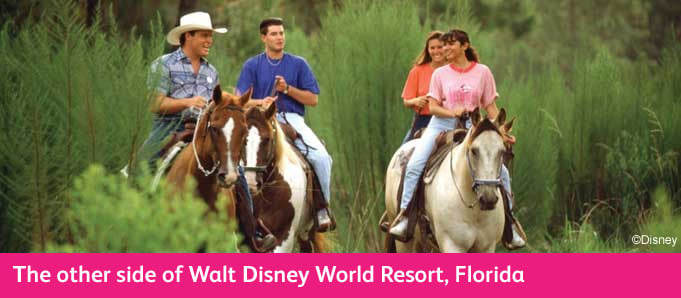 More To Do At Disney Horse