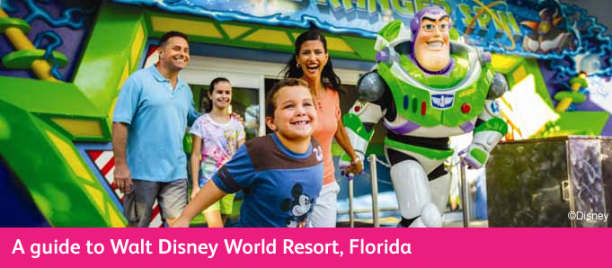 Walt Disney World Buzz Lightyear