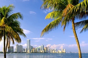 MIAMI ONE_500x333