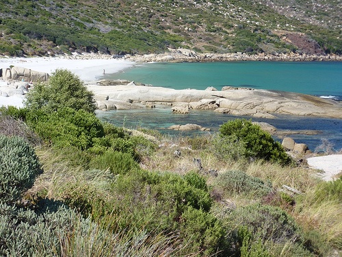 Sandy Bay Nudist Beach Cape Town