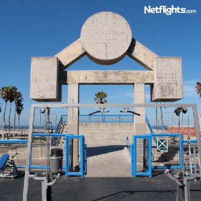 403x403_Musclebeach-03