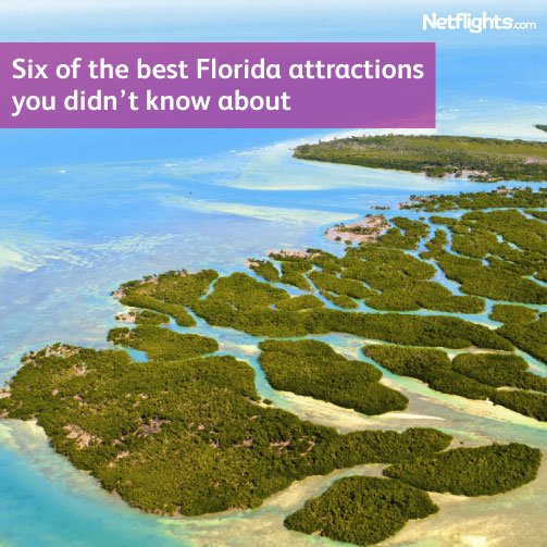 Six of the best Florida attractions you didn't know about