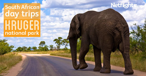 South African Day trips
