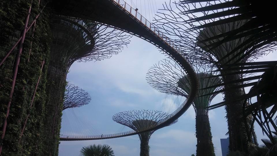 Gardens by the Bay