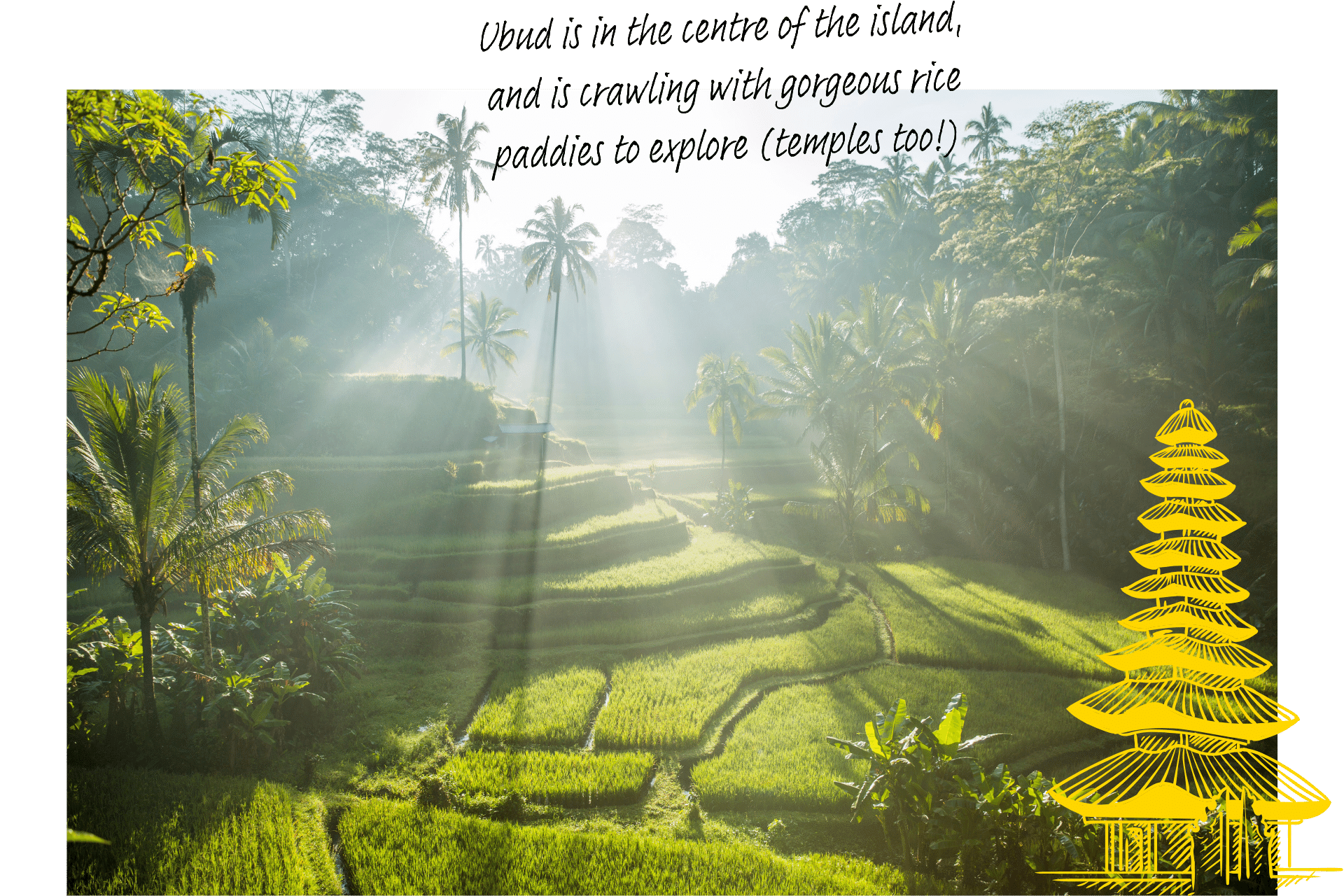 Where's hot in November? A rice paddy in Ubud in Bali, Indonesia, sunlight falling through the trees.