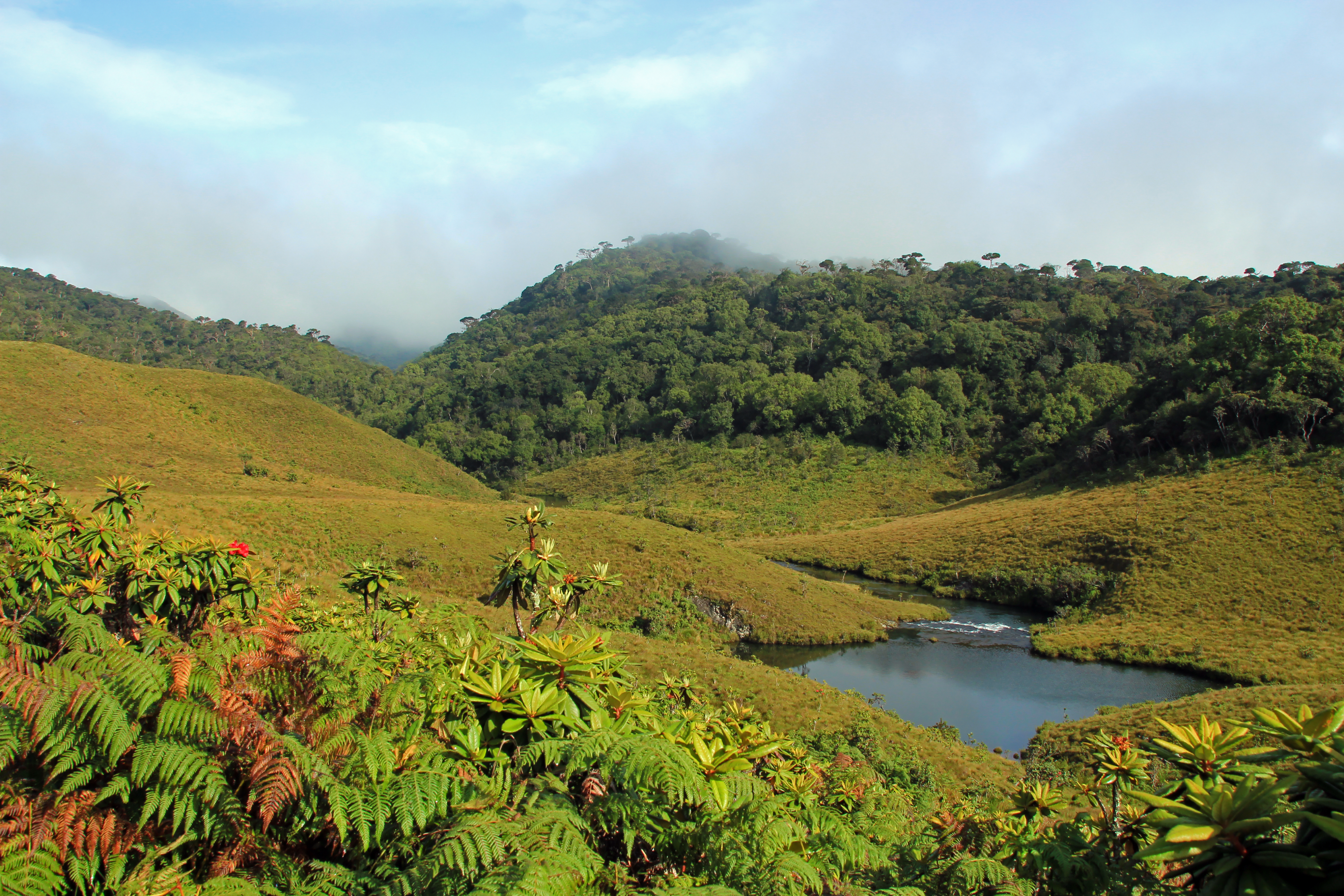 5 animals you’ll see on a Sri Lankan safari