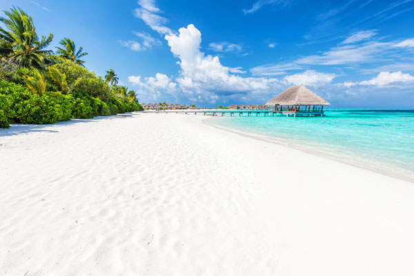 Beach in the Indian Ocean