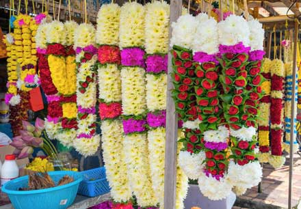 Kuala Lumpur flower market