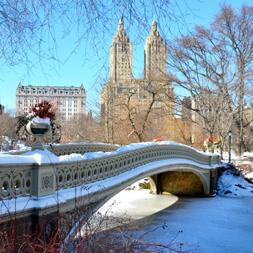 Central Park in the snow