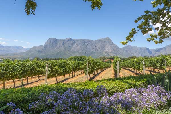 South Africa day trips