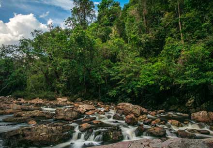 Taman Negara national park