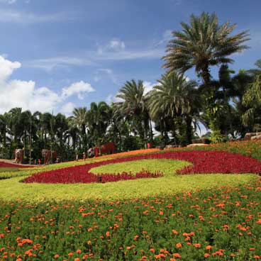Botanical gardens in Florida