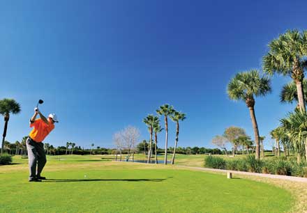 Golfing in Florida