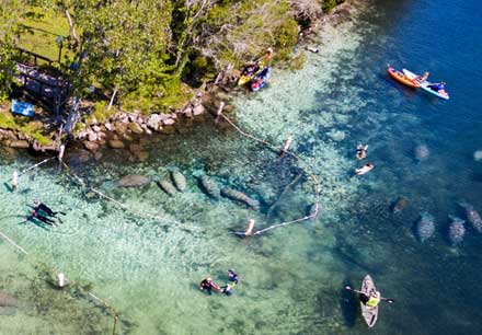 Kayaking in Florida