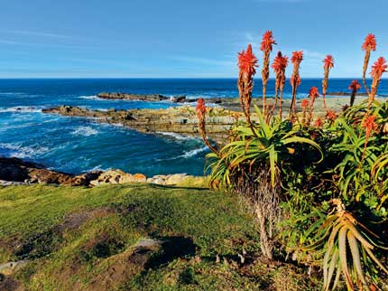 Summer in South Africa