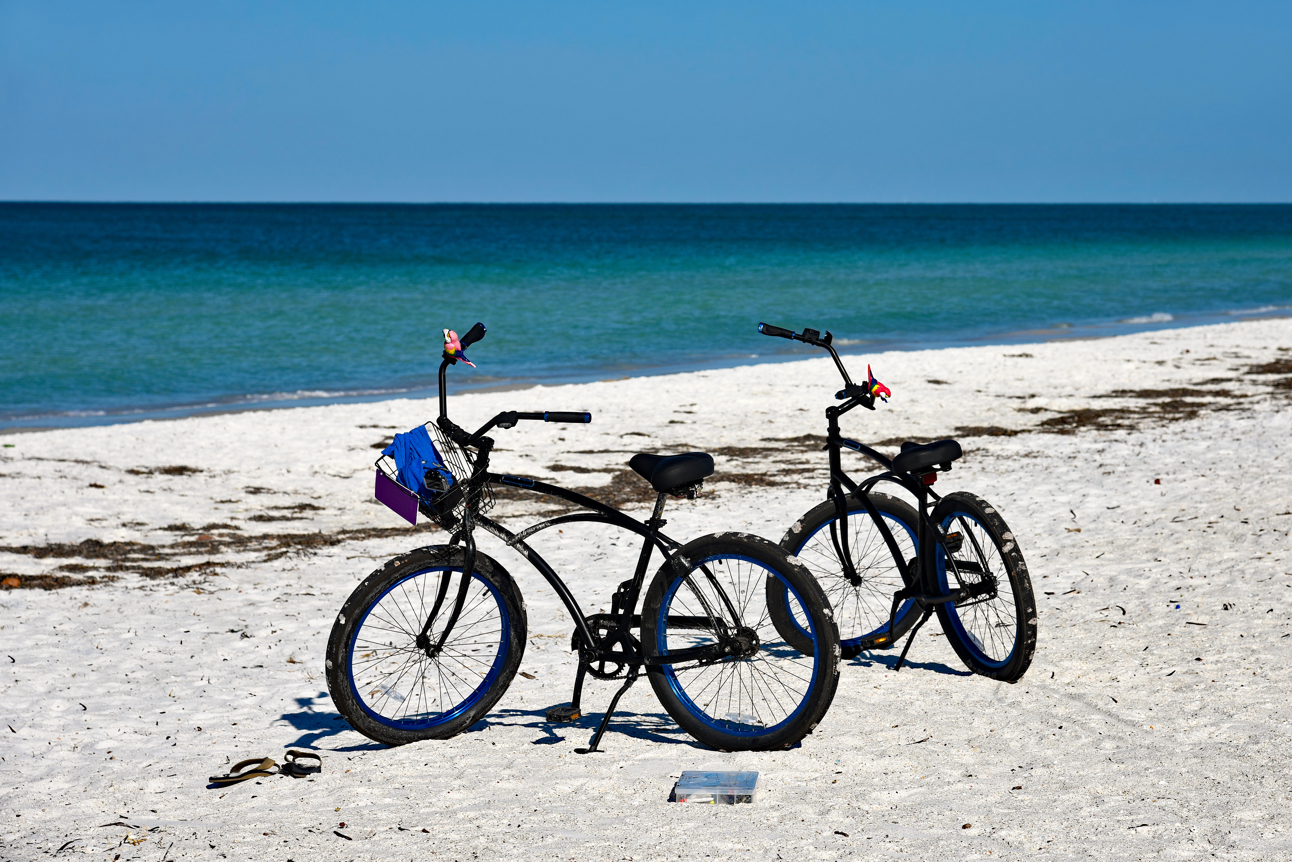Cycling in Florida