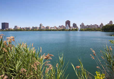 New York boating lake