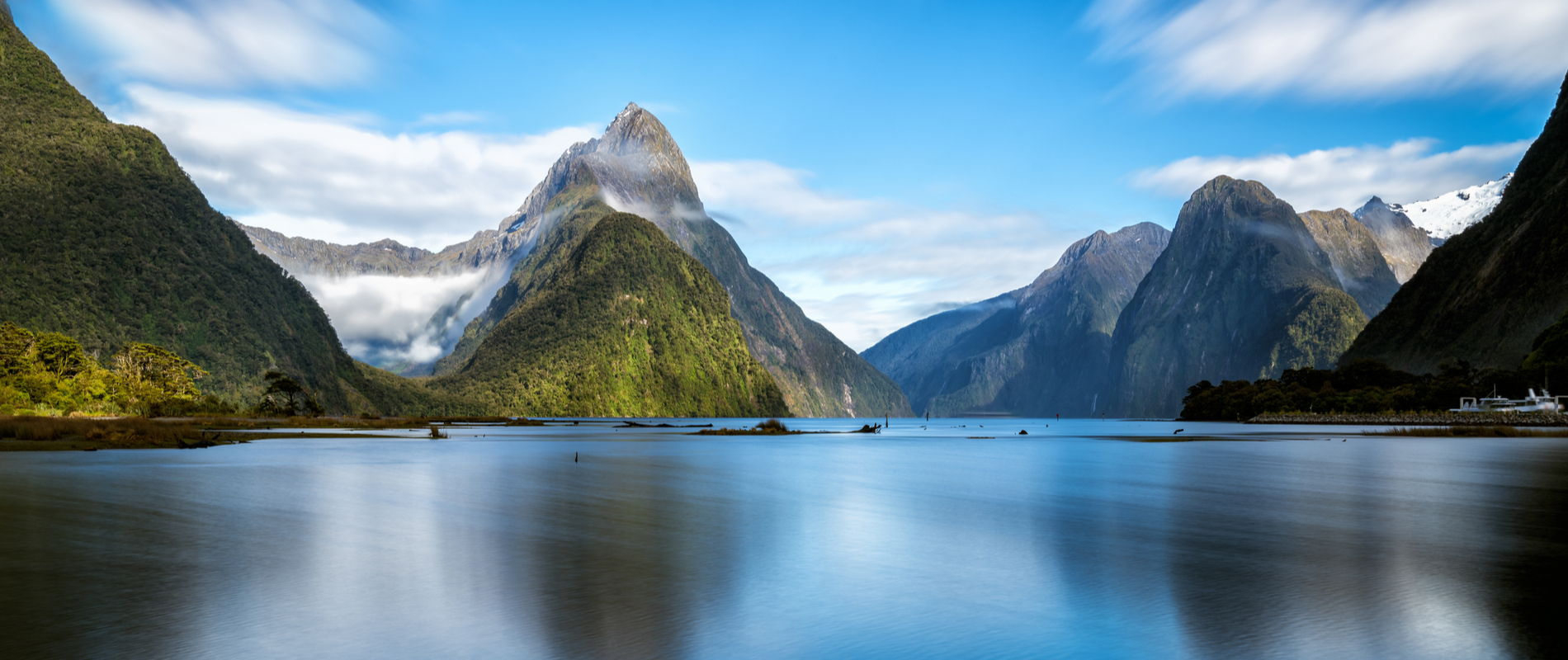 Spotlight on: New Zealand