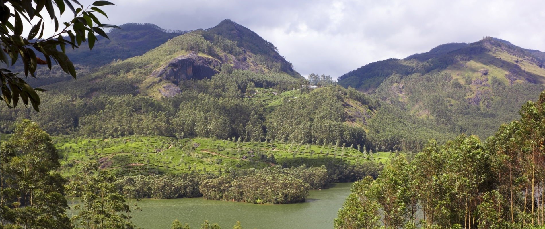 western ghats of south india