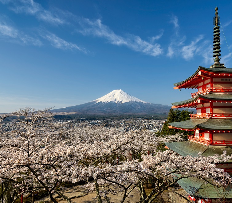 Mount Fuji with pagoda and cherry blossom, Japan