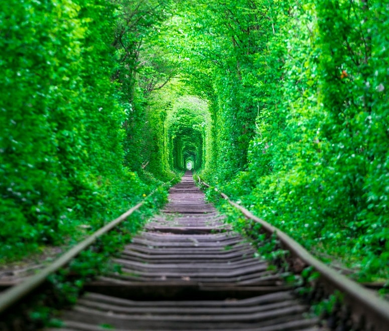 Tunnel of Love, Ukraine