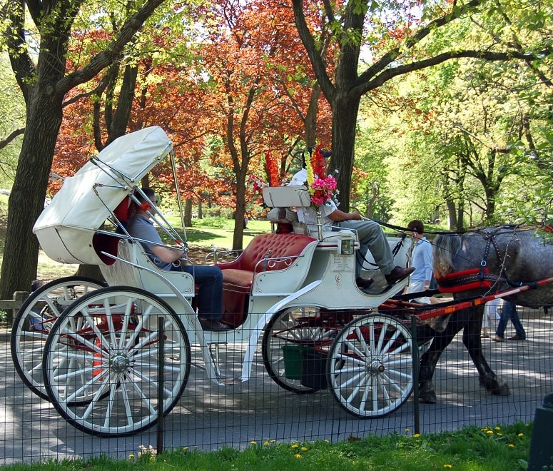 Central Park carriage ride