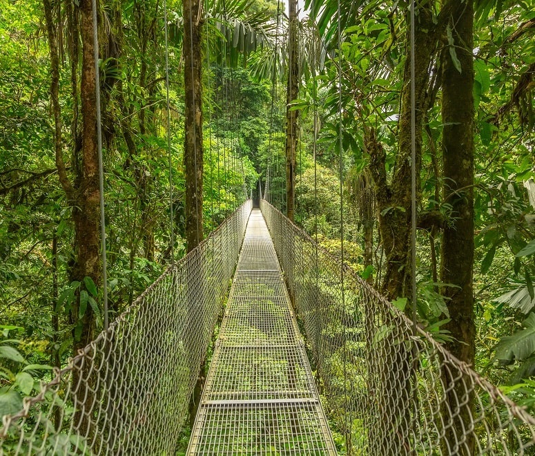 Costa Rica hanging bridge