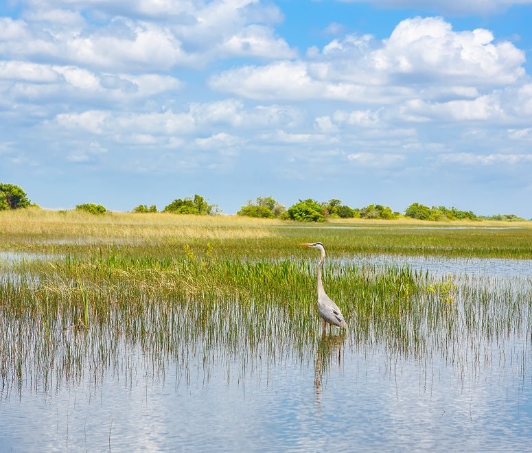 Everglades National Park