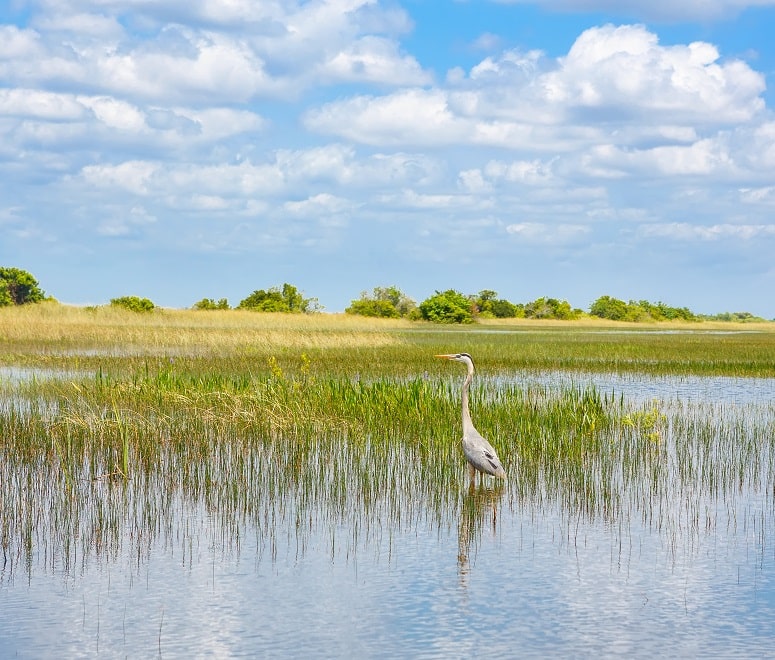 Everglades National Park