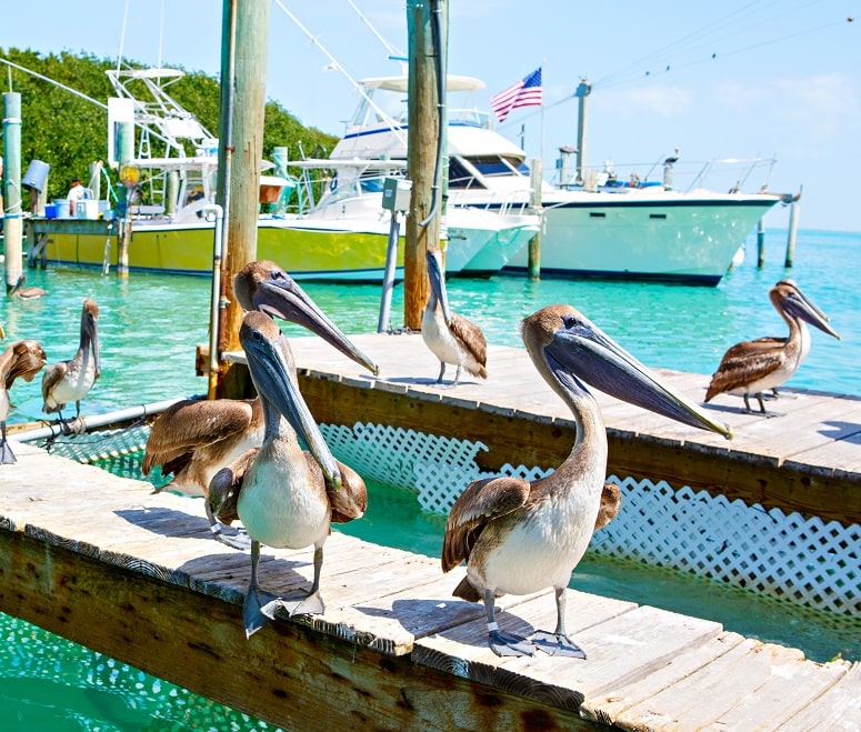 Islamorada