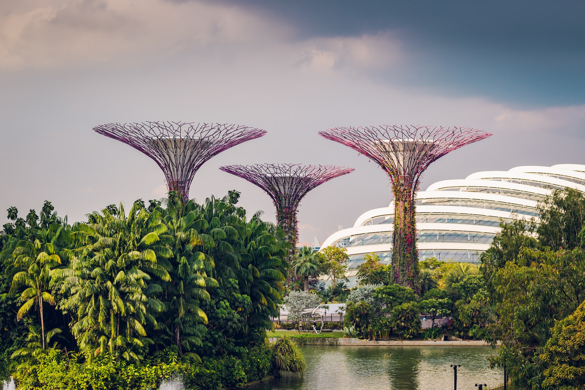 An image of the Singapore Gardens by the Bay, with three towering metal structures, designed to look like trees.