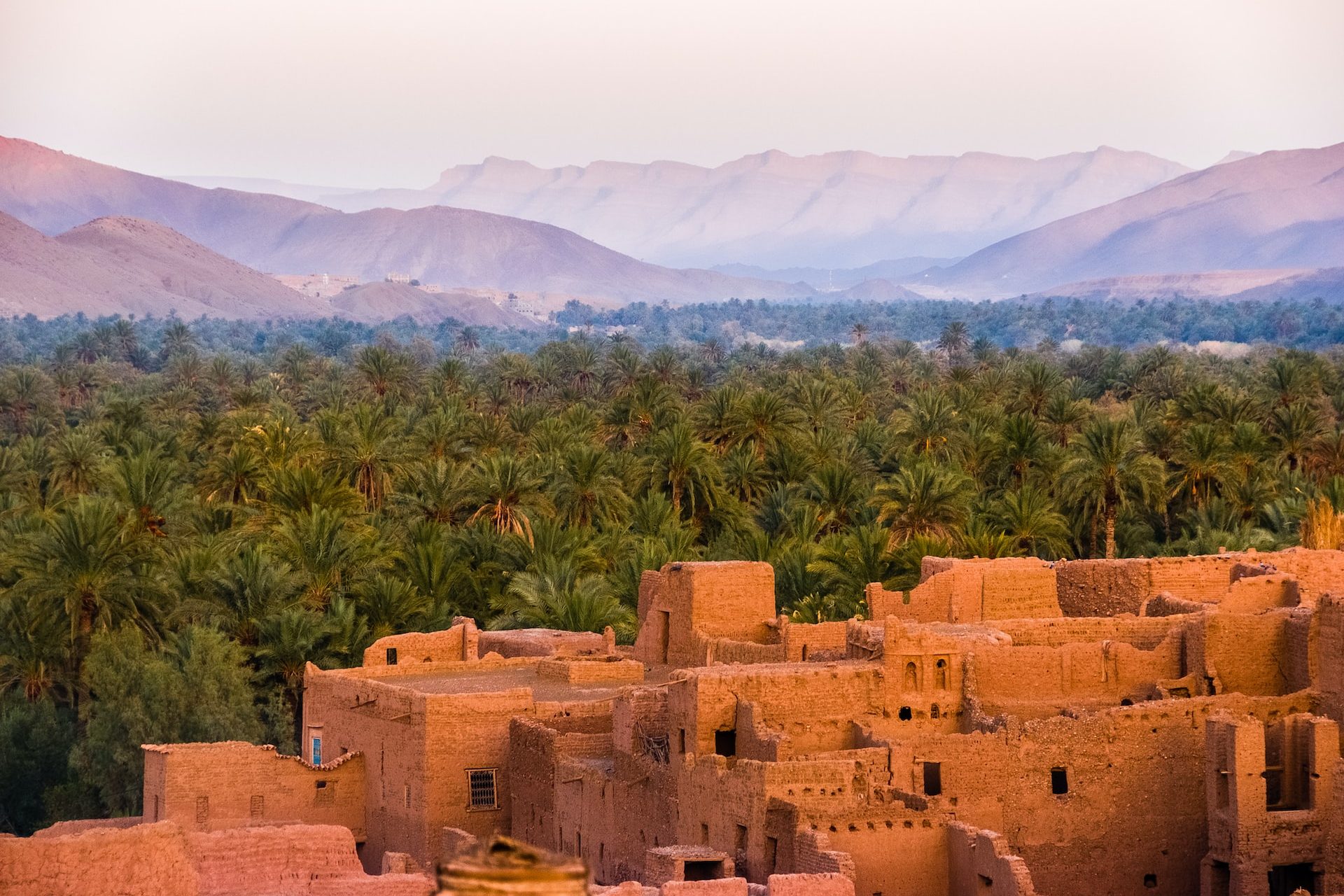 An image of the oasis in Tamnougalt, Morocco.