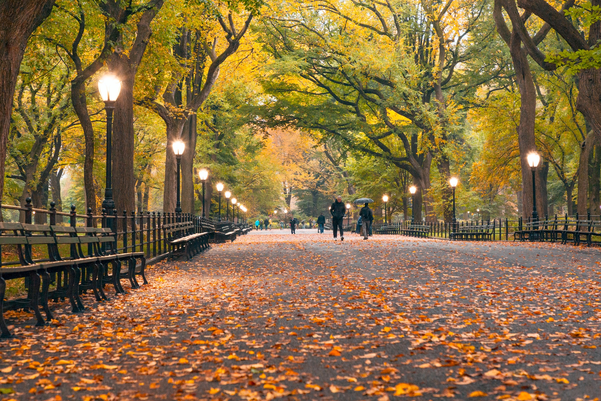 Central Park in the autumn.
