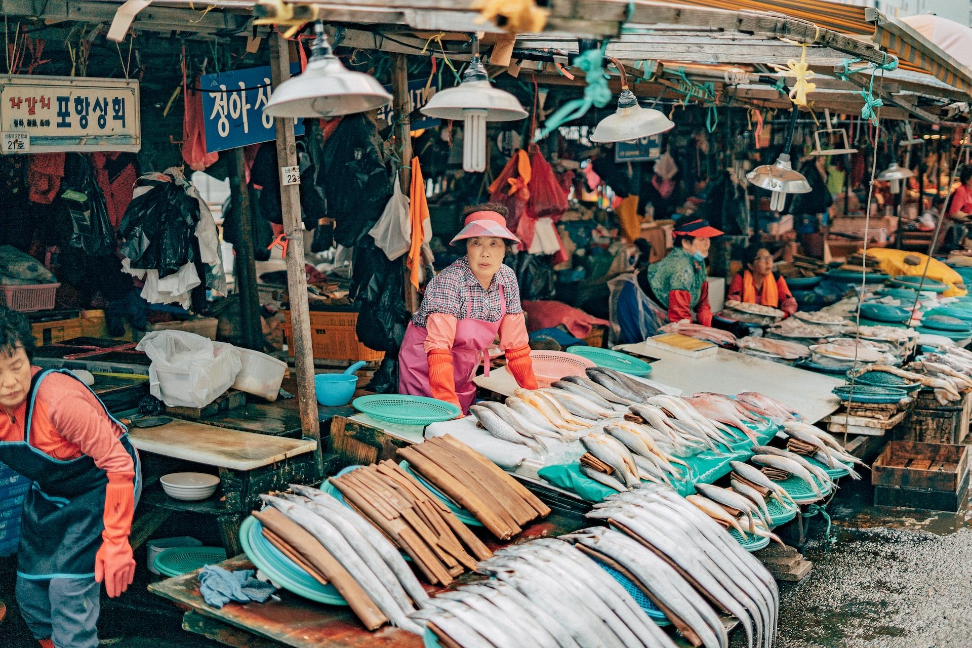 Jagalchi Market in Busan, South Korea.