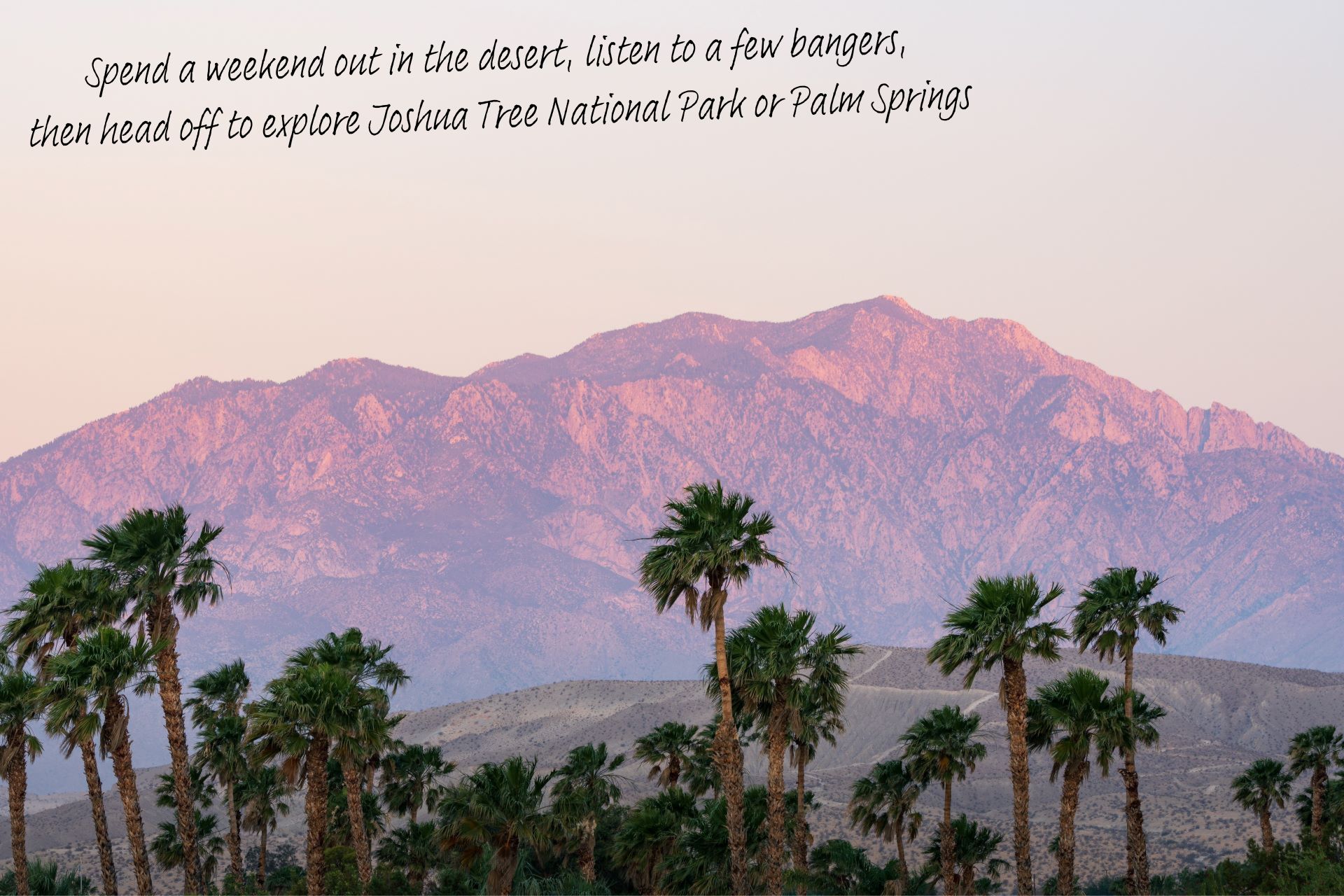 Mountains loom in the far distance in the Californian Desert at sunset, palm trees in the foreground.