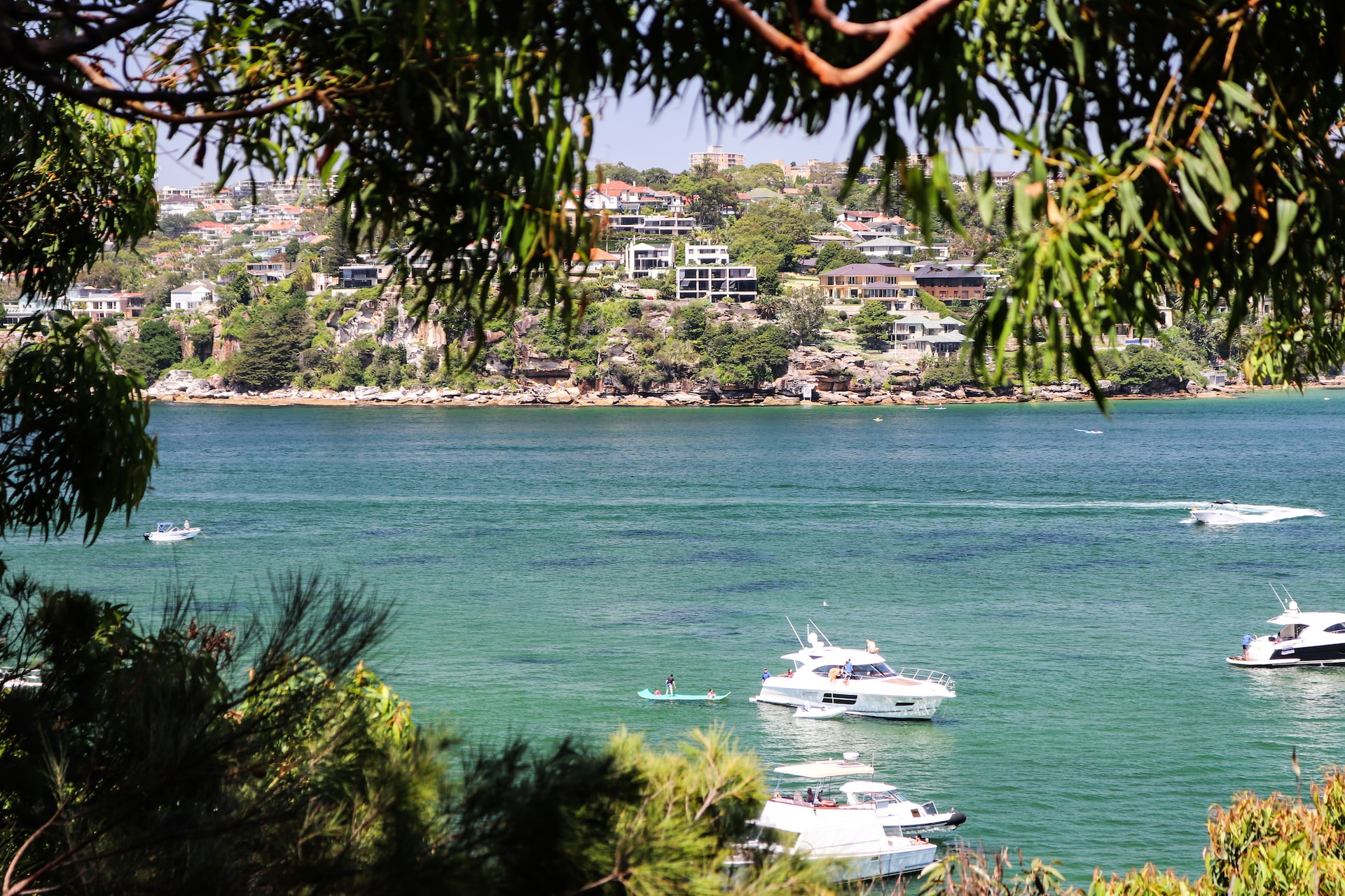 Boats bob in a lake, framed by greenery. Houses line the shore in the distance.