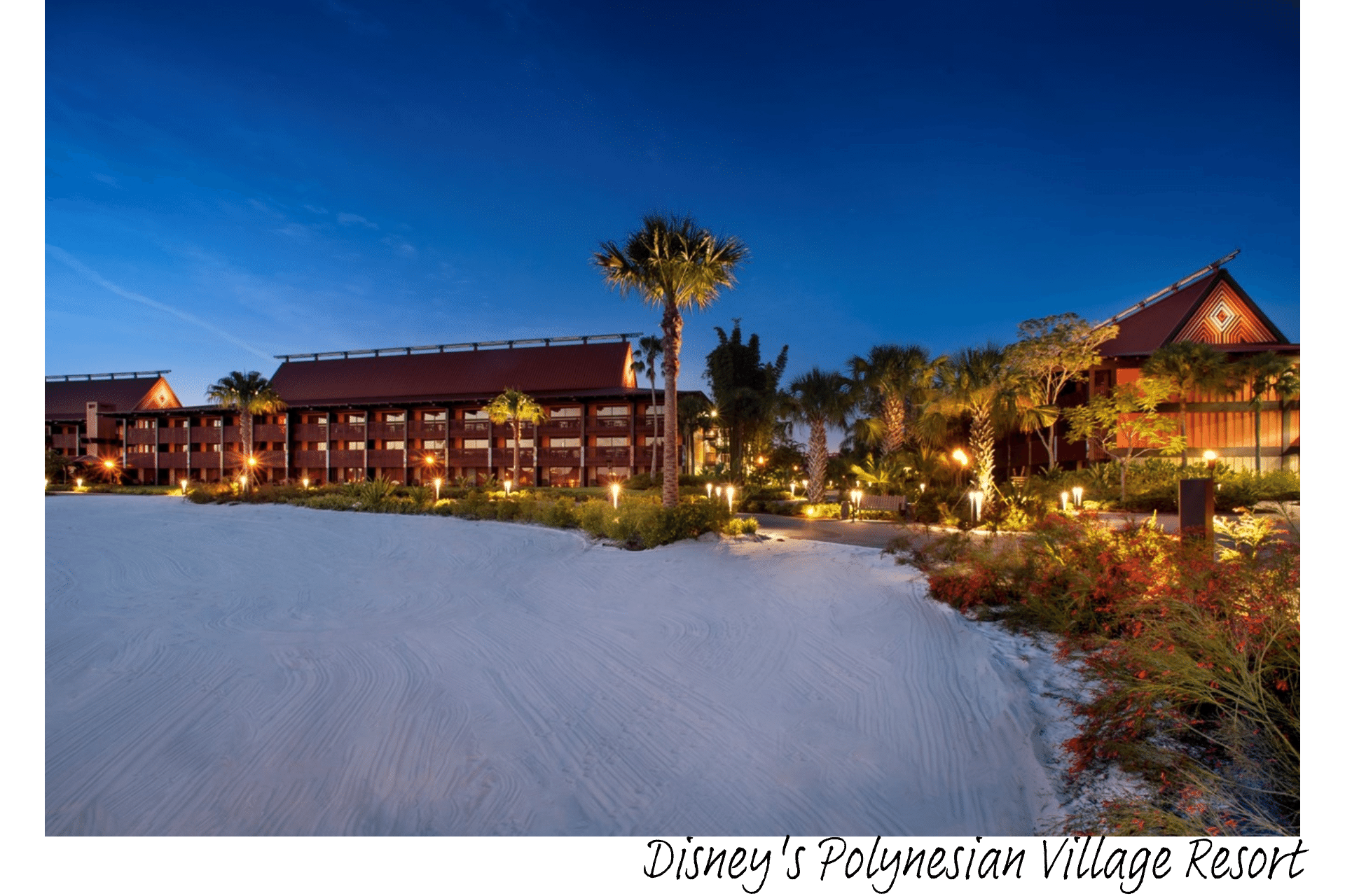 Disney's Polynesian Village Resort at night.