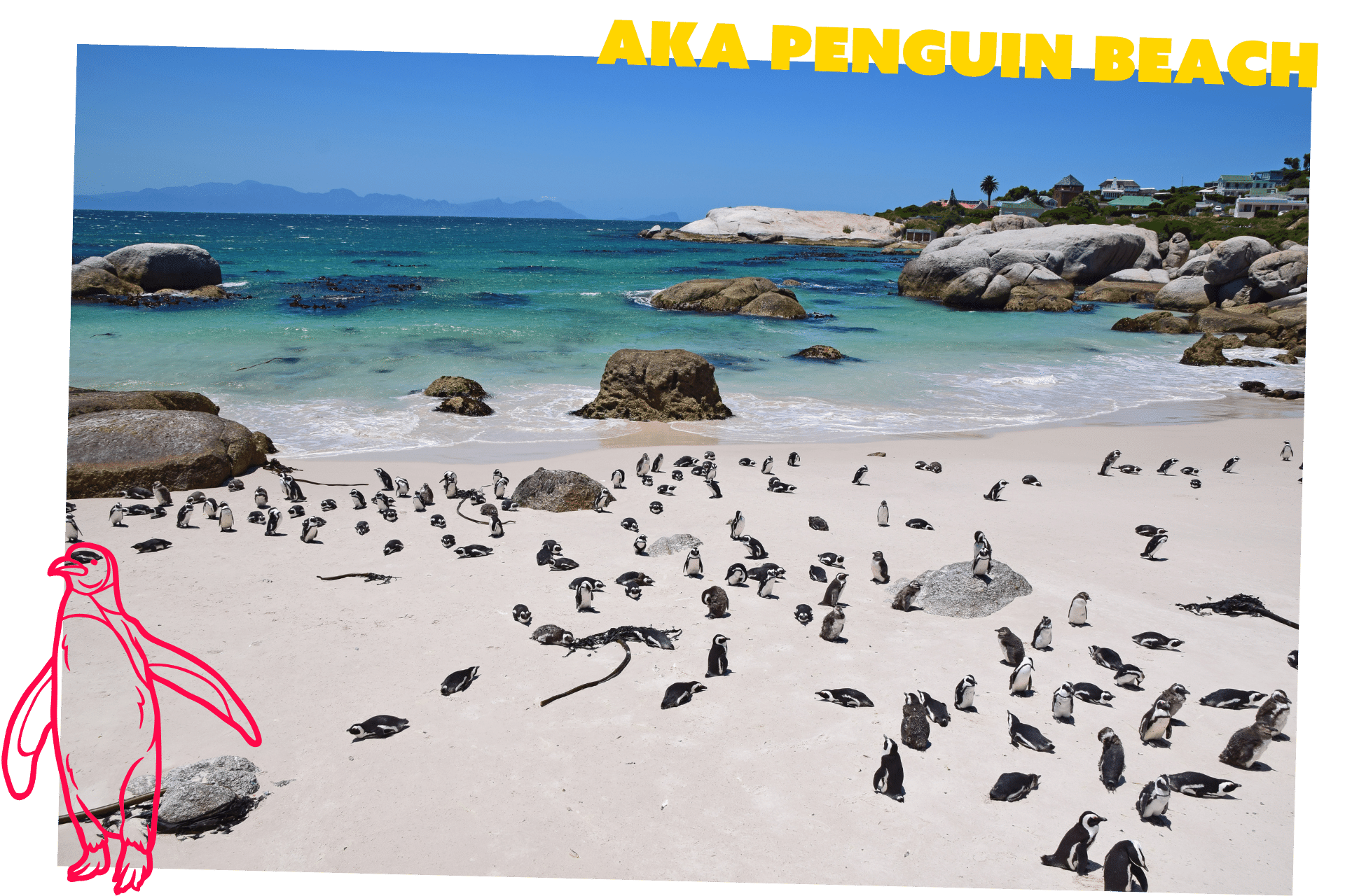 Boulders Beach, also known as Penguin Beach, in South Africa is one the world's most unique beaches.