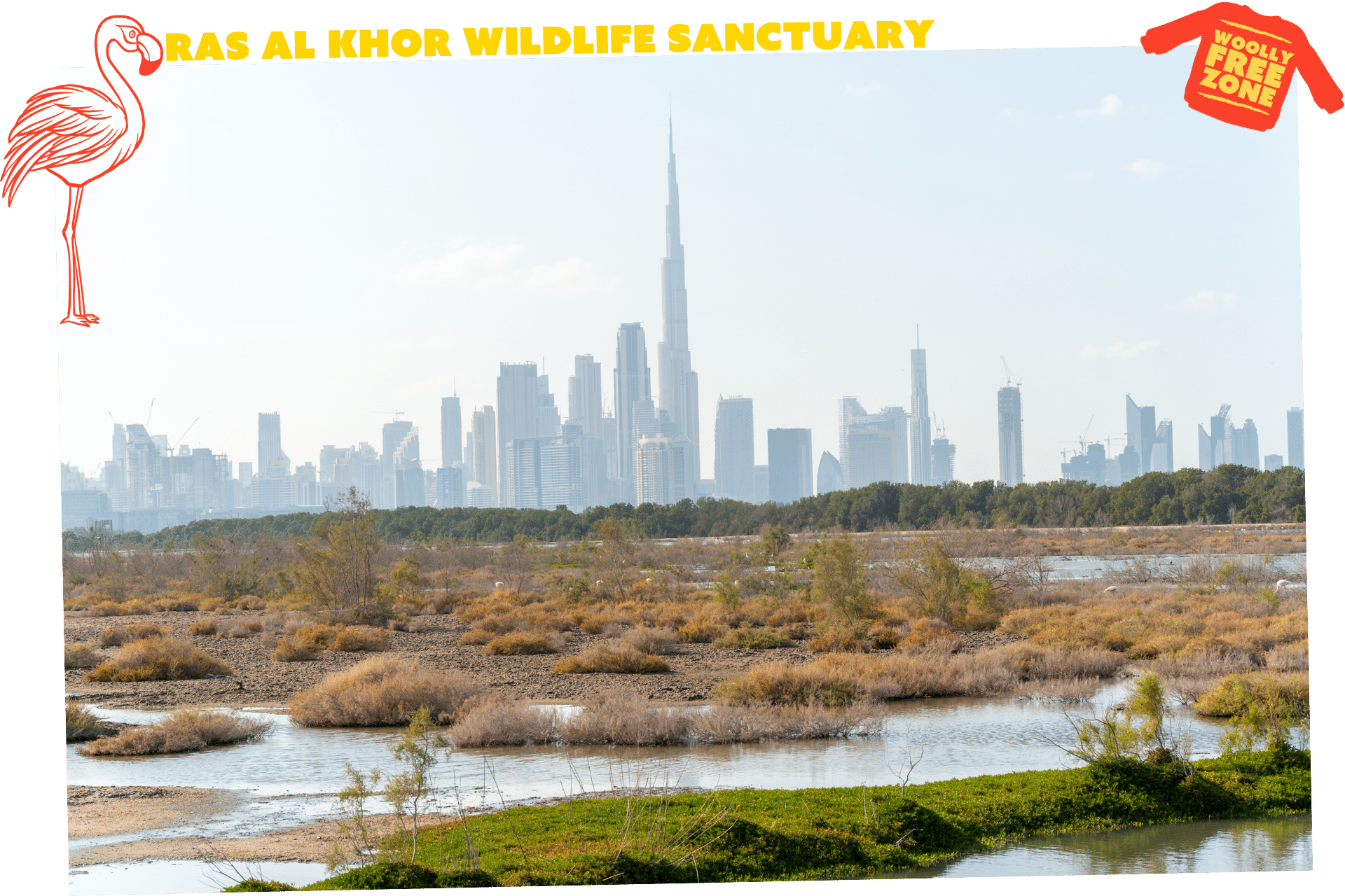 The Ras Al Khor Wildlife Sanctuary is one of the best free winter activities in Dubai. A low angle short of wetlands with the Dubai skyline in the distance, the Burj Khalifa in the centre.