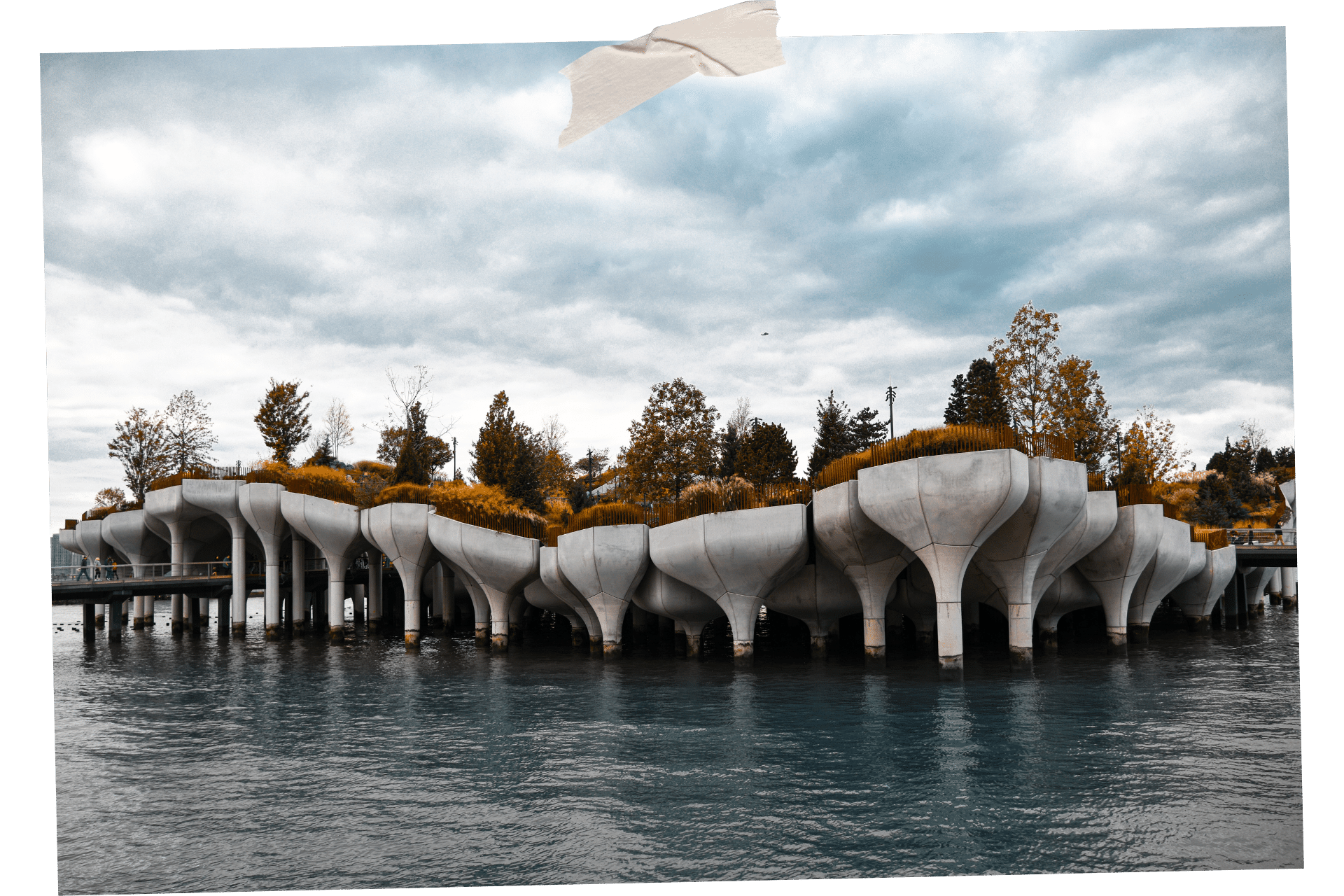 Picture shows trees and shrubbery sitting on top of white, tulip shaped bases that reach into a body of water beneath to give the effect of floating. Little Island is one of 8 great things to do outside in NYC.