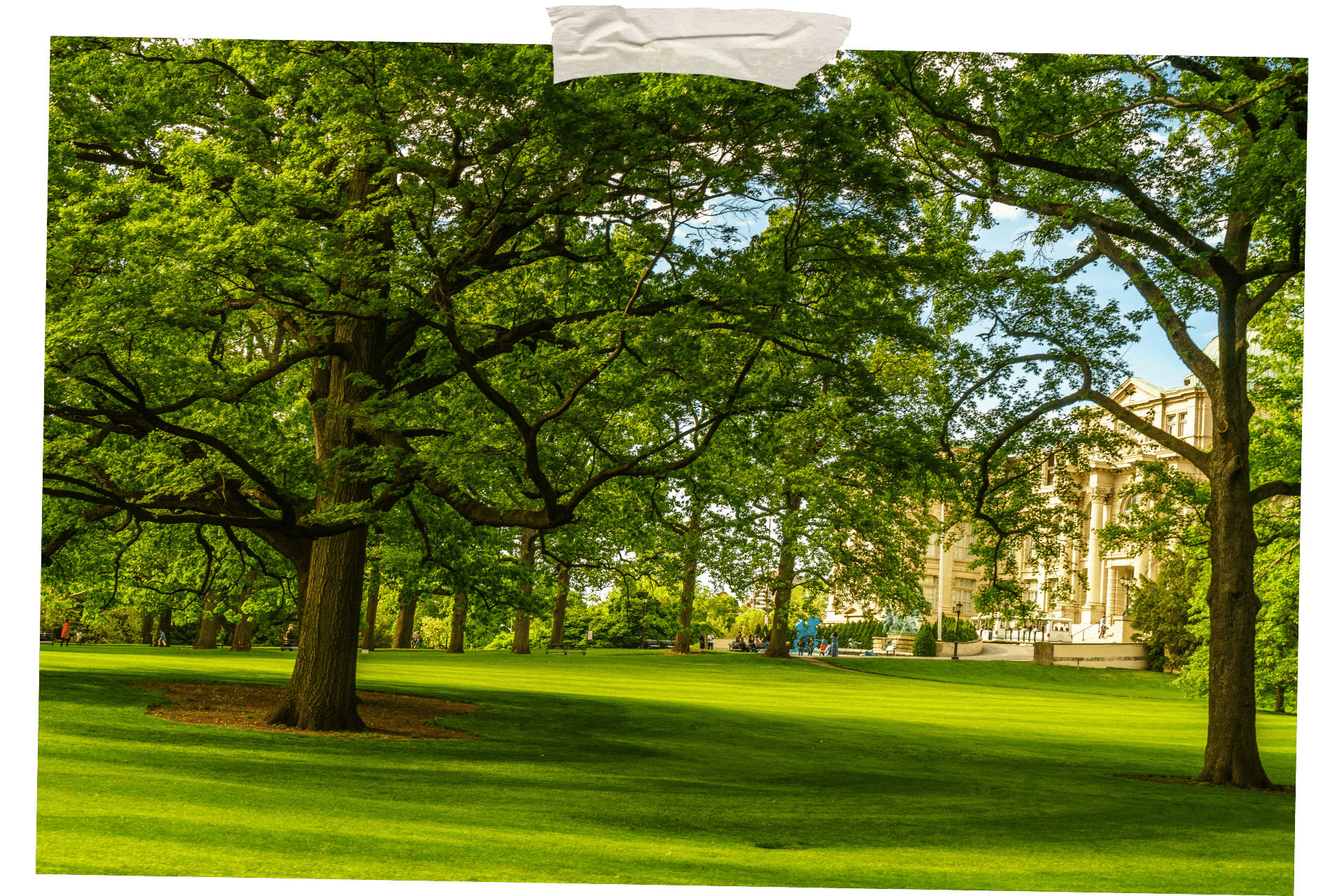 Pictured is a green lawn with trees dotted over it, through the leaves a large, old building is just visible. New York Botanical Garden is one of 8 great things to do outside in NYC.