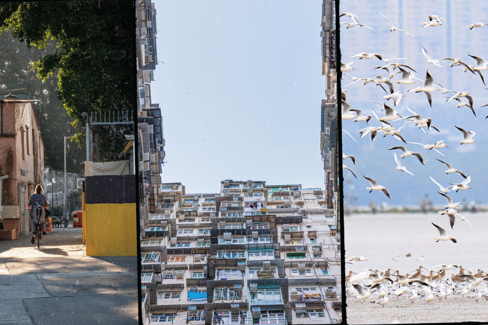 Hong Kong Hidden Gems: Alternative photo ops, viewpoints & shopping