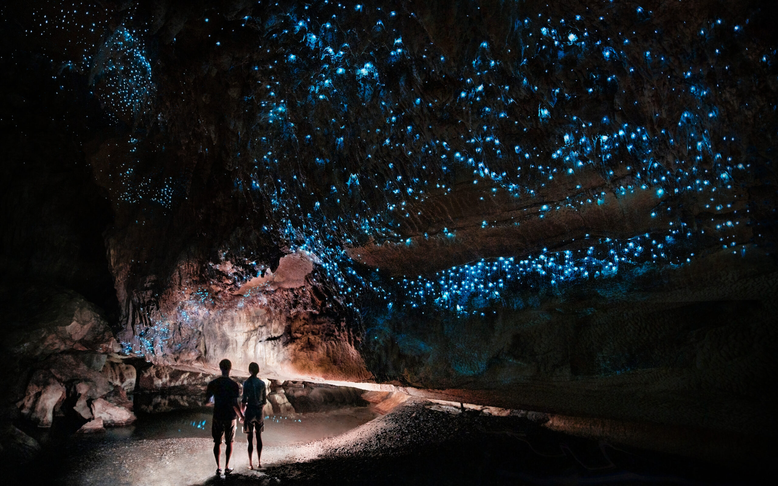 Noctourism: What is it and where to do it