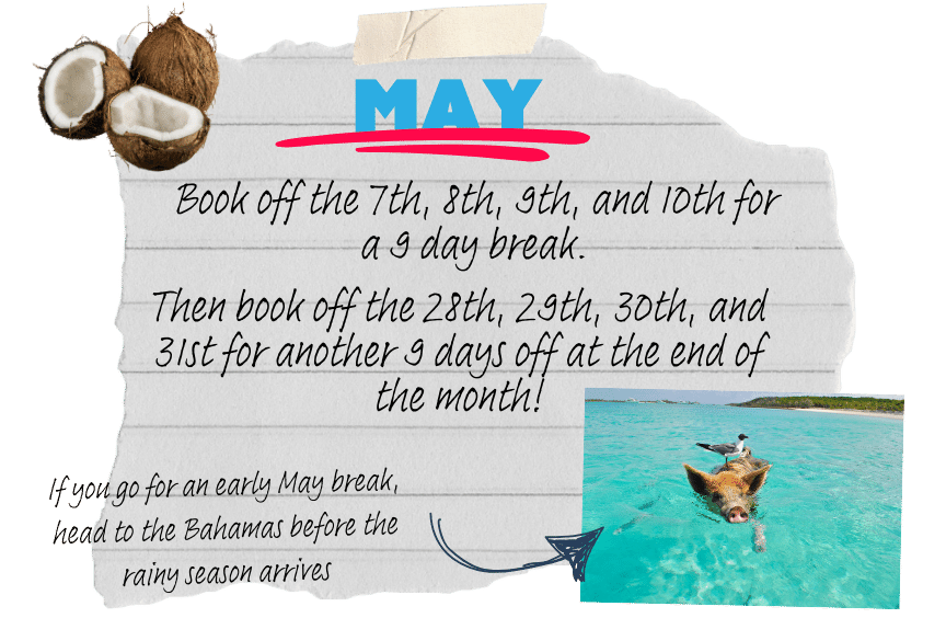 A graphic reads: "Book off the 7th, 8th, 9th, and 10th for a 9 day break. Then book off the 28th, 29th, 30th, and 31st for another 9 days off at the end of the month!" with images of a swimming pig in the Bahamas and coconuts.