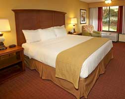 Rosen Inn at Pointe Orlando Accommodation