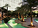 Monte Carlo Las Vegas Pool