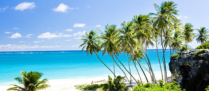 A beach in Barbados